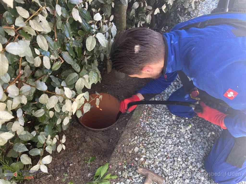 Rioolvliegjes Uden Rioolvliegjes Uden